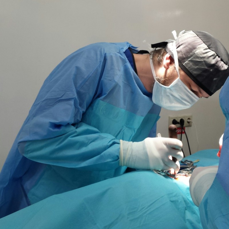 chirurgie articulară chirurgie veterinară clasa drogurilor condroitină