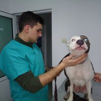 Medic veterinar Catalin Mitra.jpg
